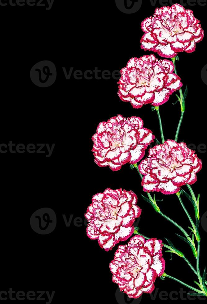 Bouquet of flowers carnation. photo