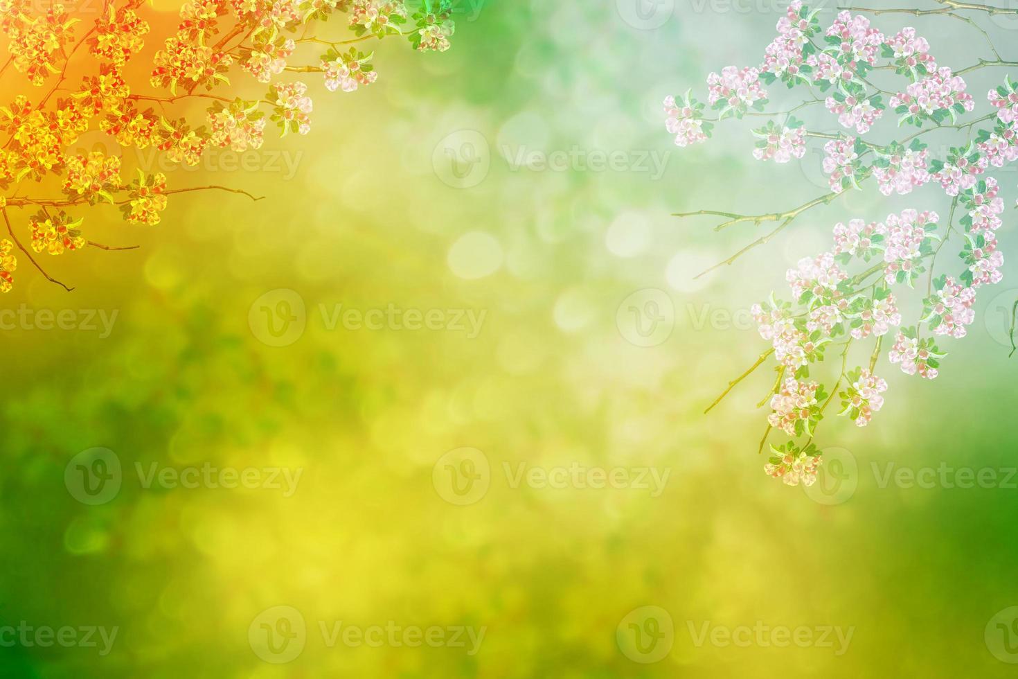 Bright colorful spring flowers photo