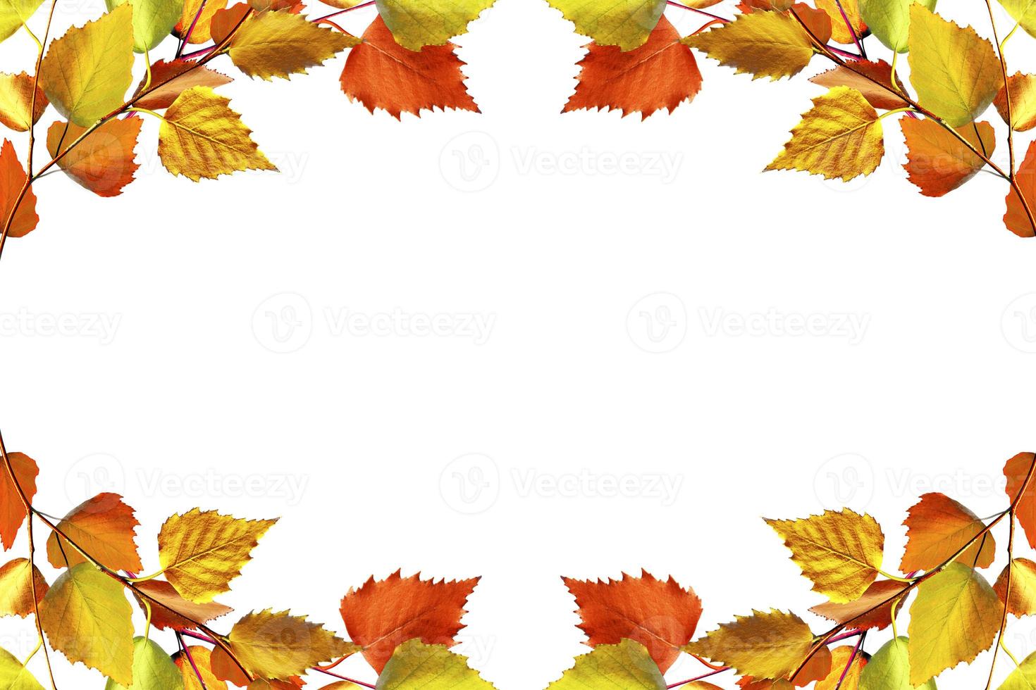 abstract background of autumn leaves photo