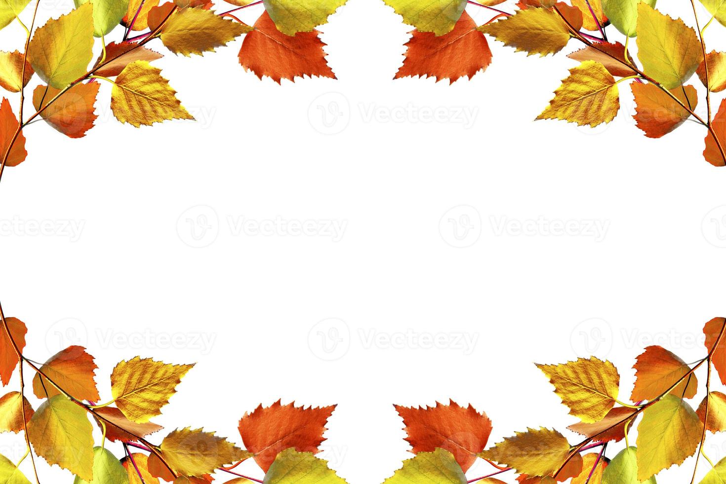 abstract background of autumn leaves photo