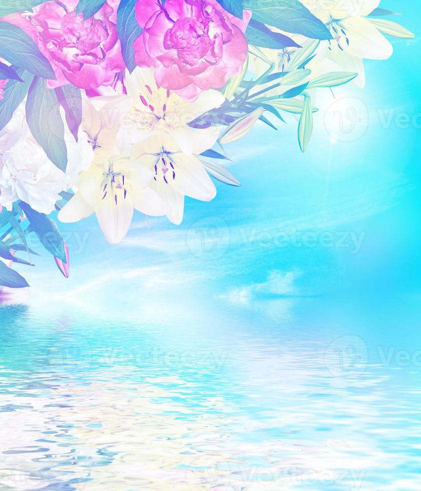 lily flowers on a background of blue sky with clouds photo