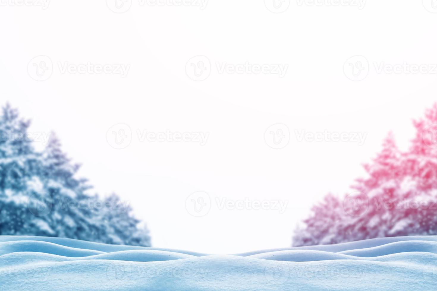 Frozen winter forest with snow covered trees. photo
