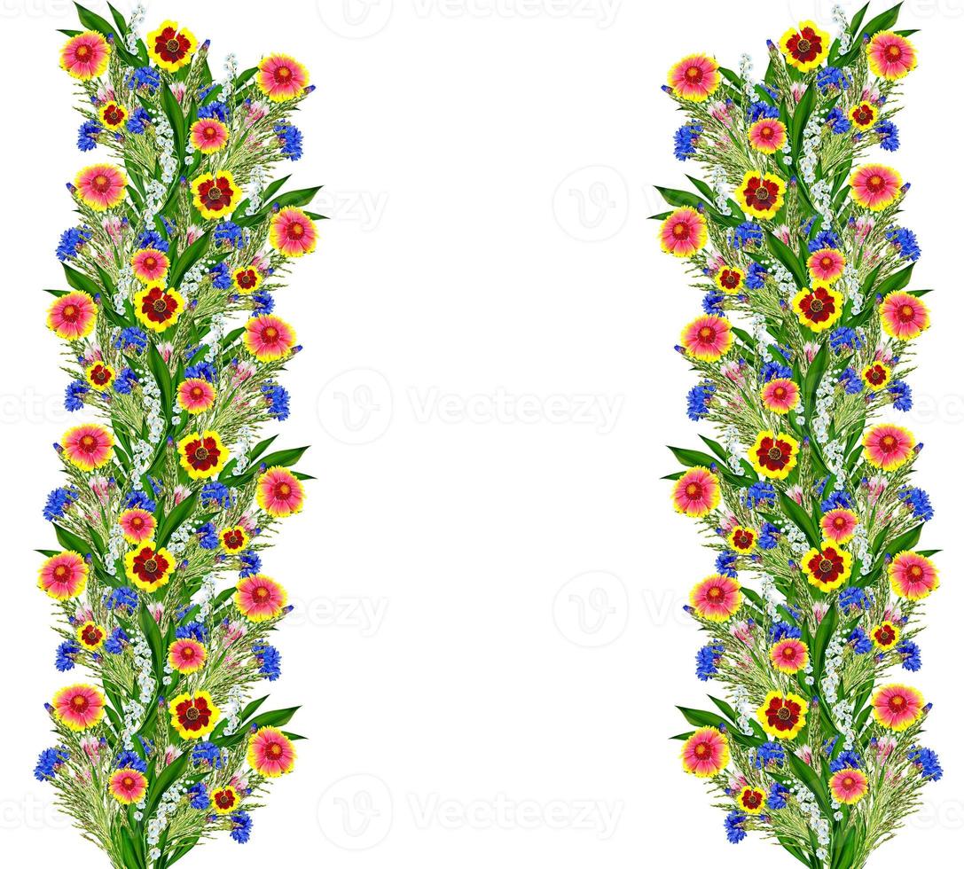 Bouquet of colorful flowers of Gaillardia. delicate flowers isolated on white background photo