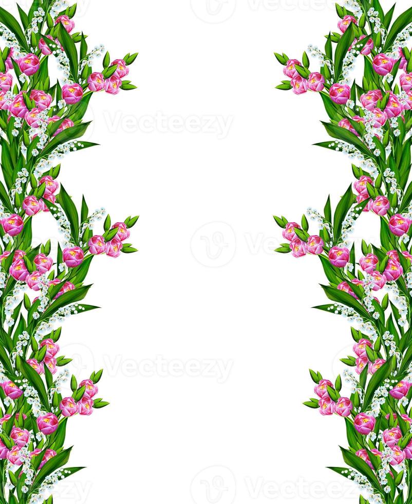 spring flowers tulips isolated on white background. photo
