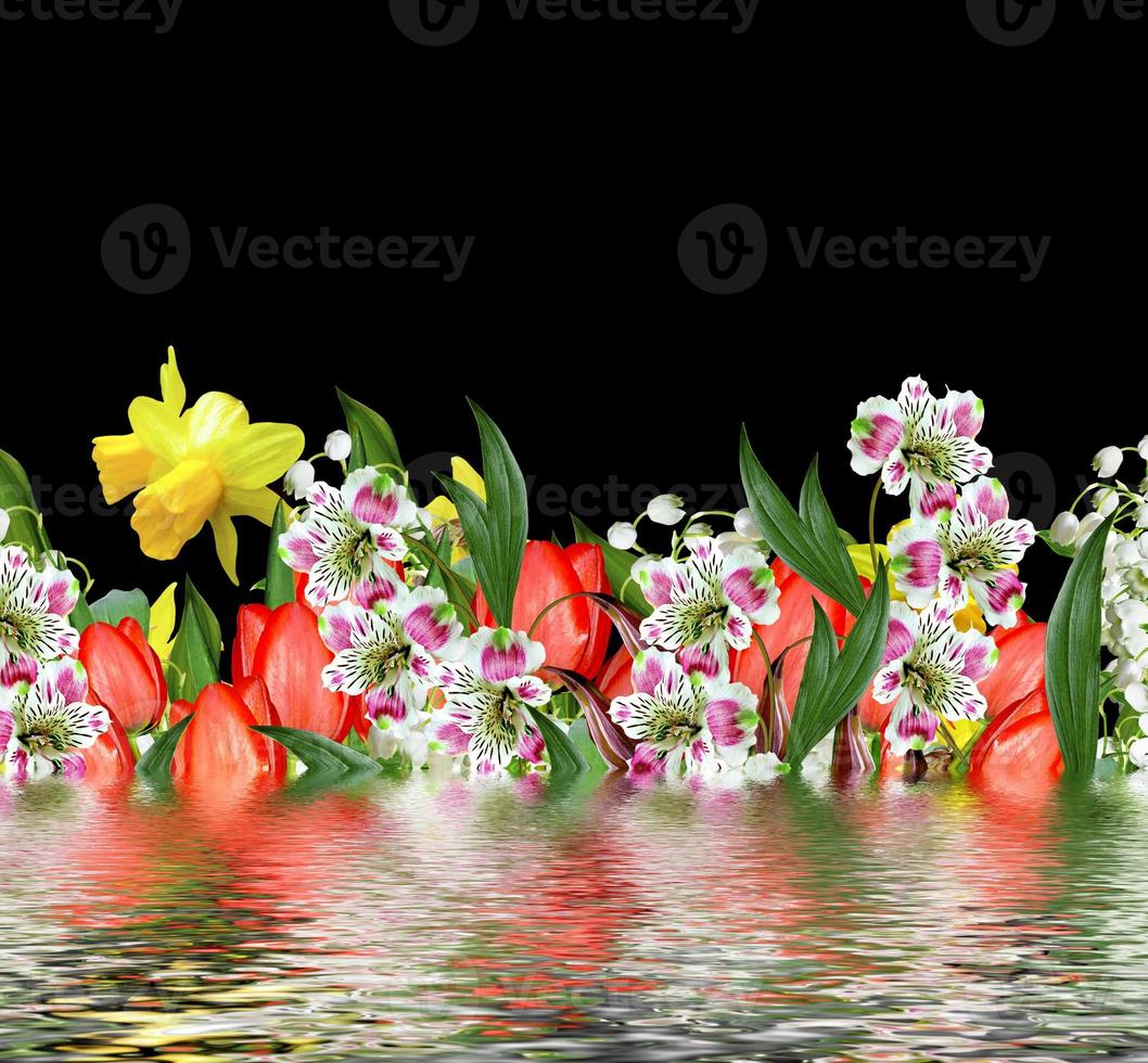 flowers on a black background photo