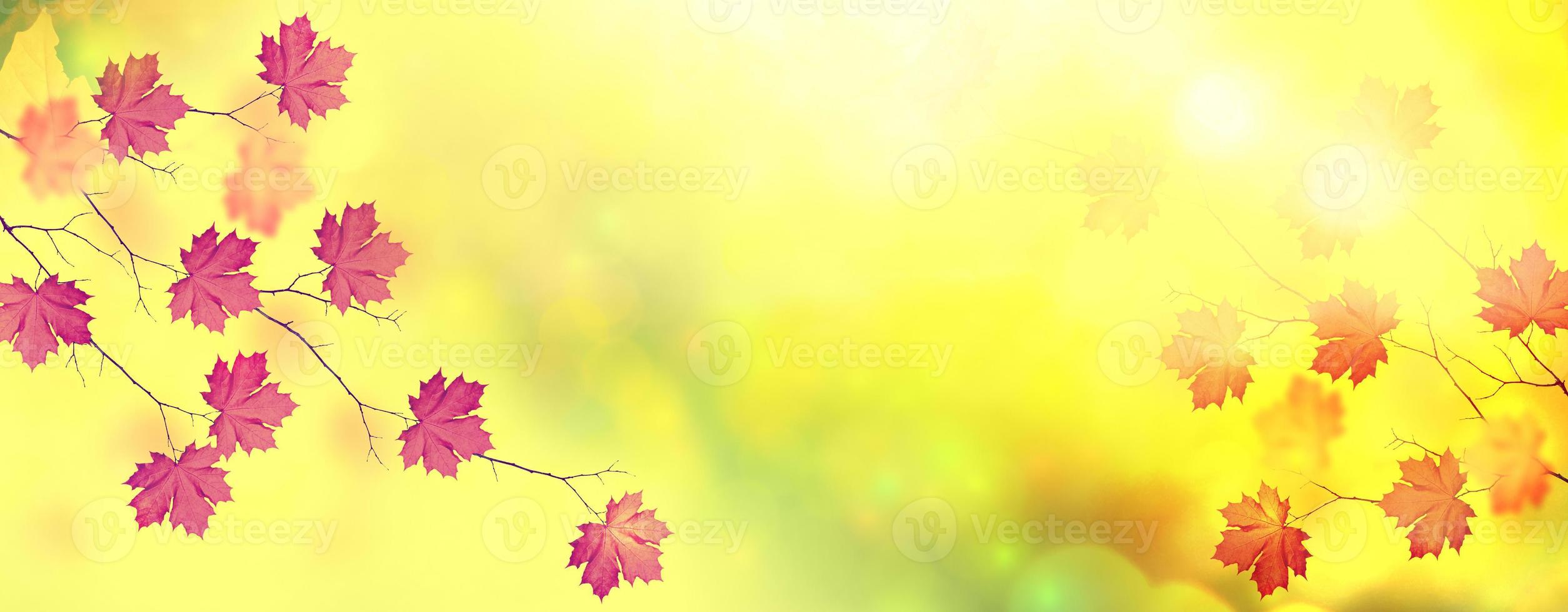 autumn landscape with bright colorful foliage. Indian summer. photo
