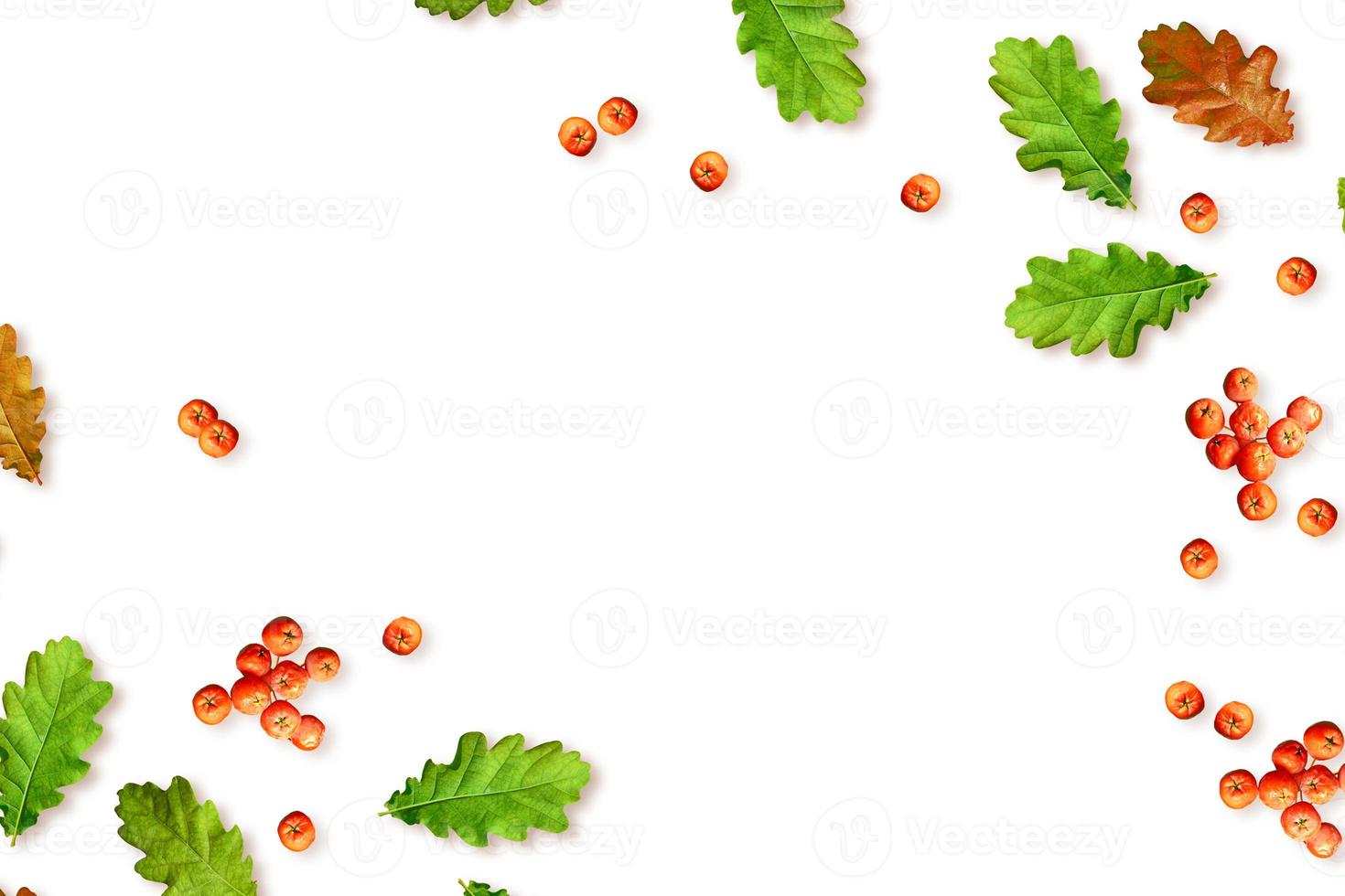 autumn leaves isolated on white background. photo