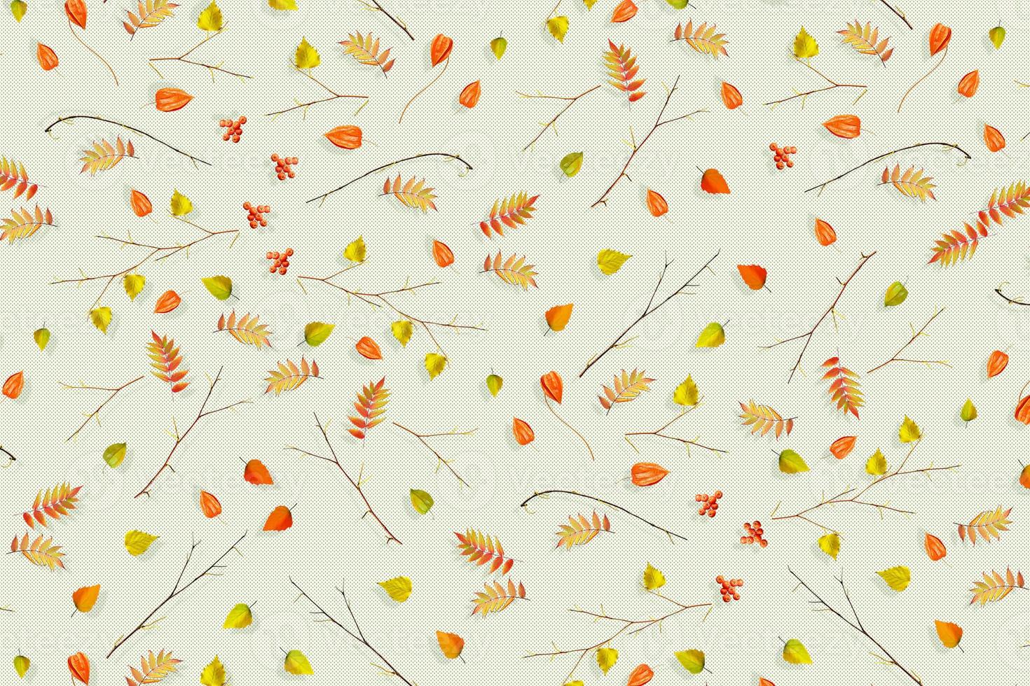 Bright colorful autumn foliage. Abstract background. Composition. photo