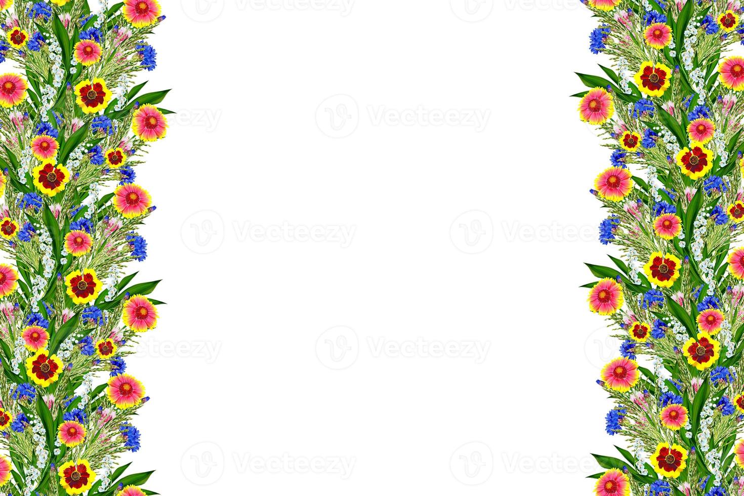 Bouquet of colorful flowers of Gaillardia. delicate flowers isolated on white background photo