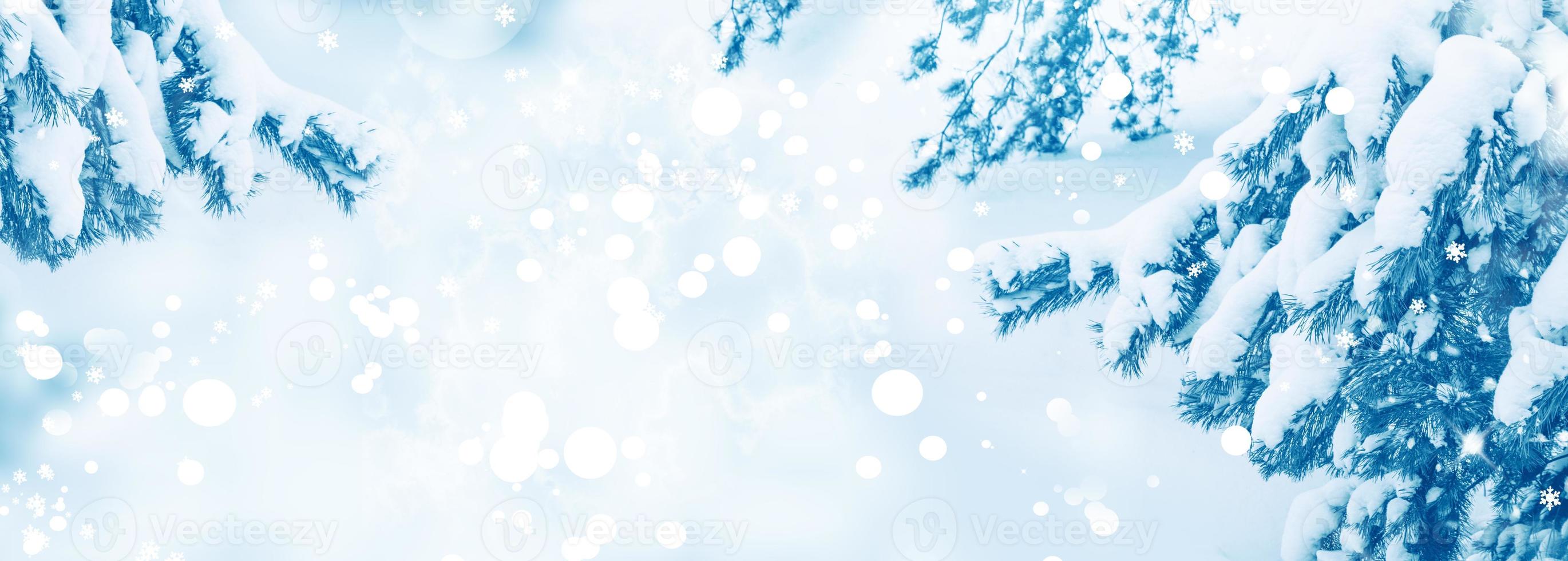 Frozen winter forest with snow covered trees. photo
