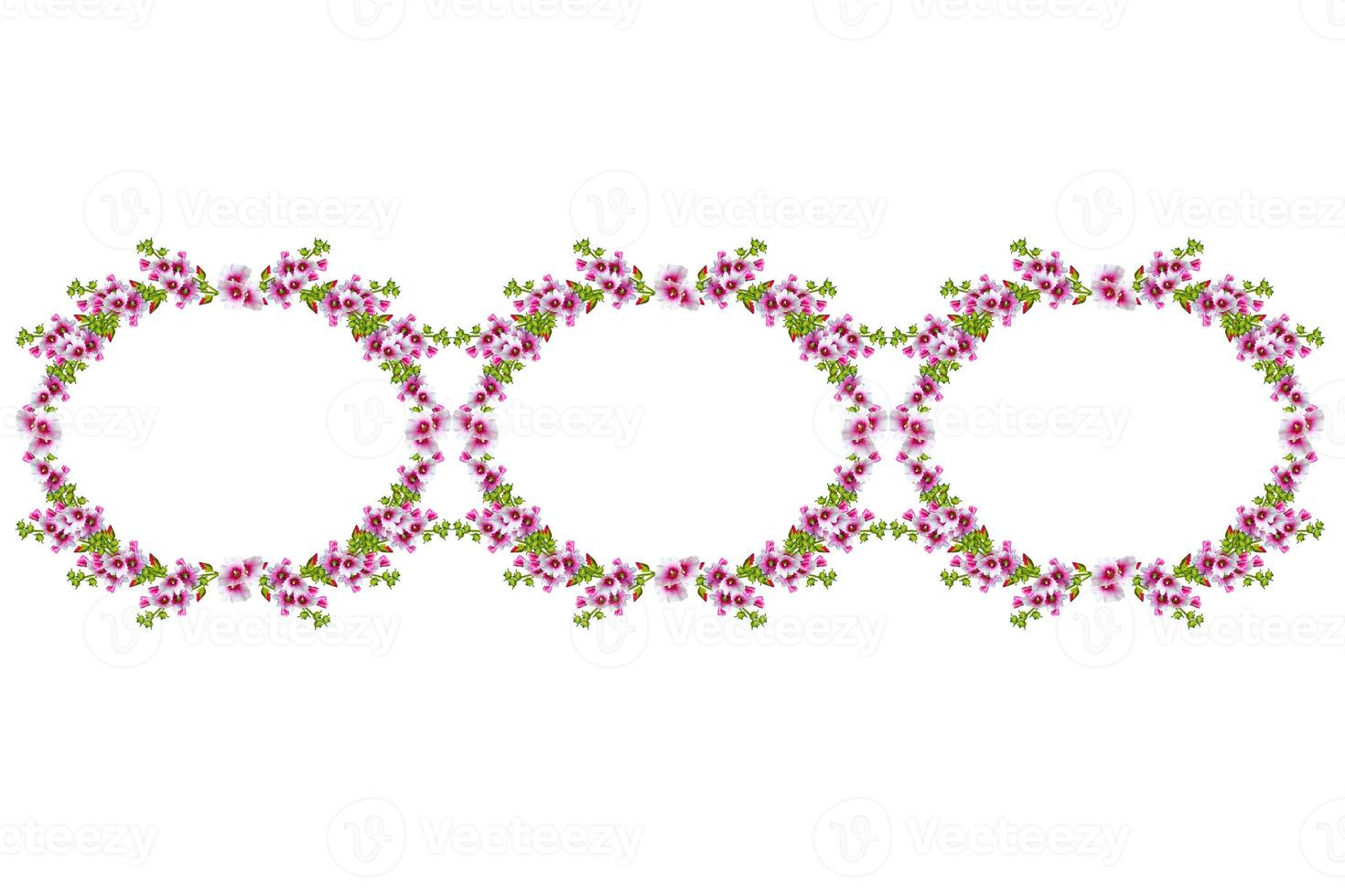 mallow flowers isolated on white background photo