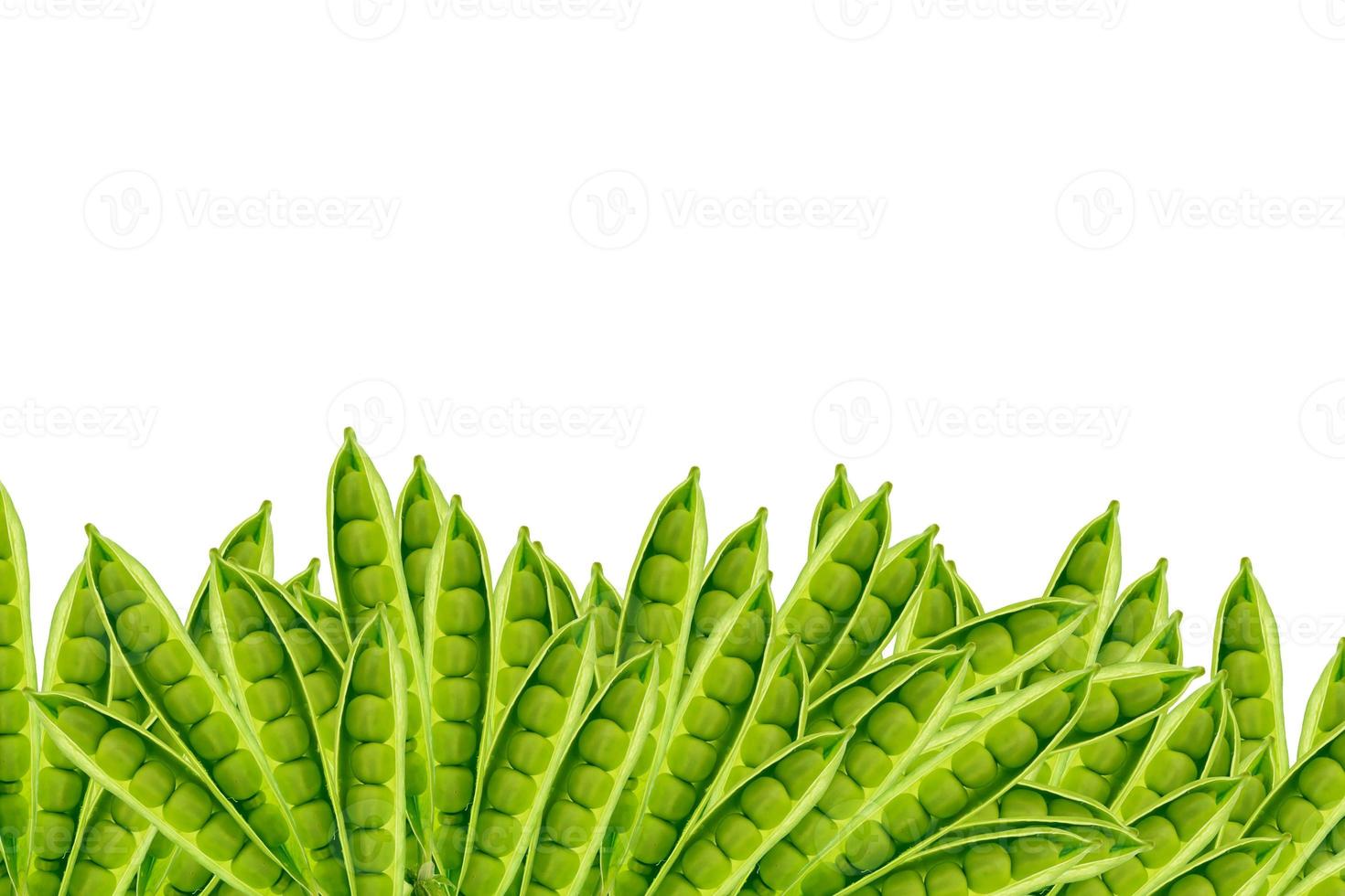 Green pea pod isolated on white background photo