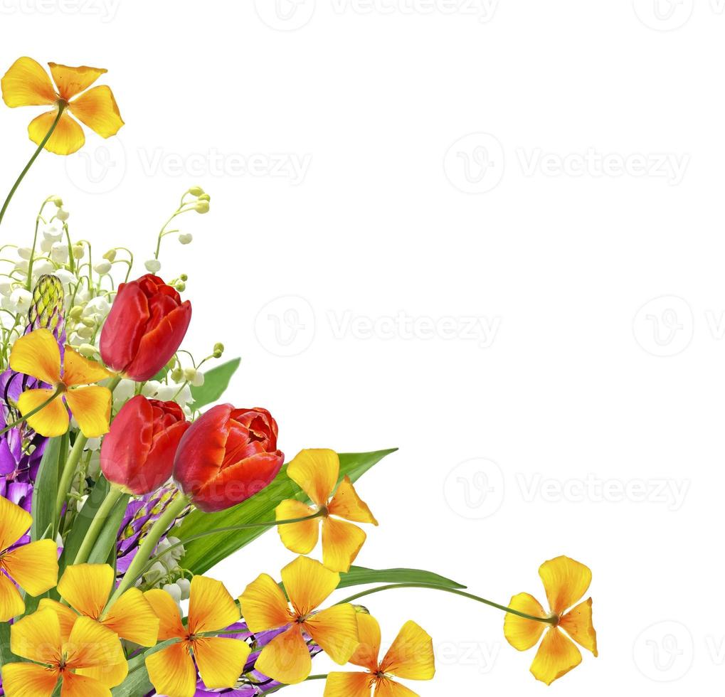 The branch of lilies of the valley flowers isolated on white background photo