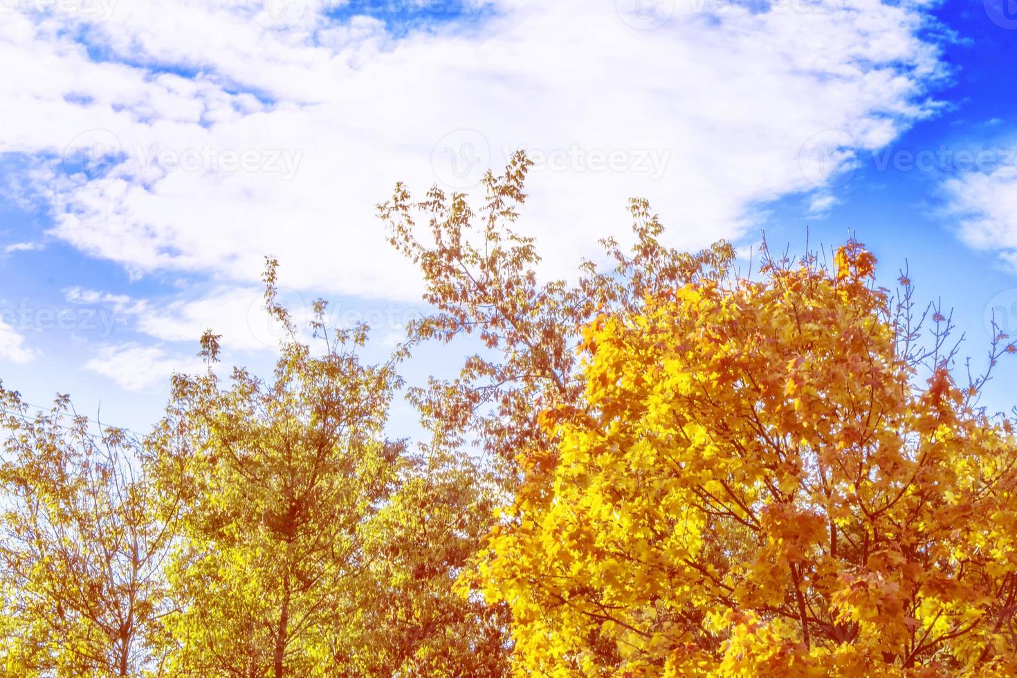 autumn landscape with bright colorful foliage. Indian summer. photo