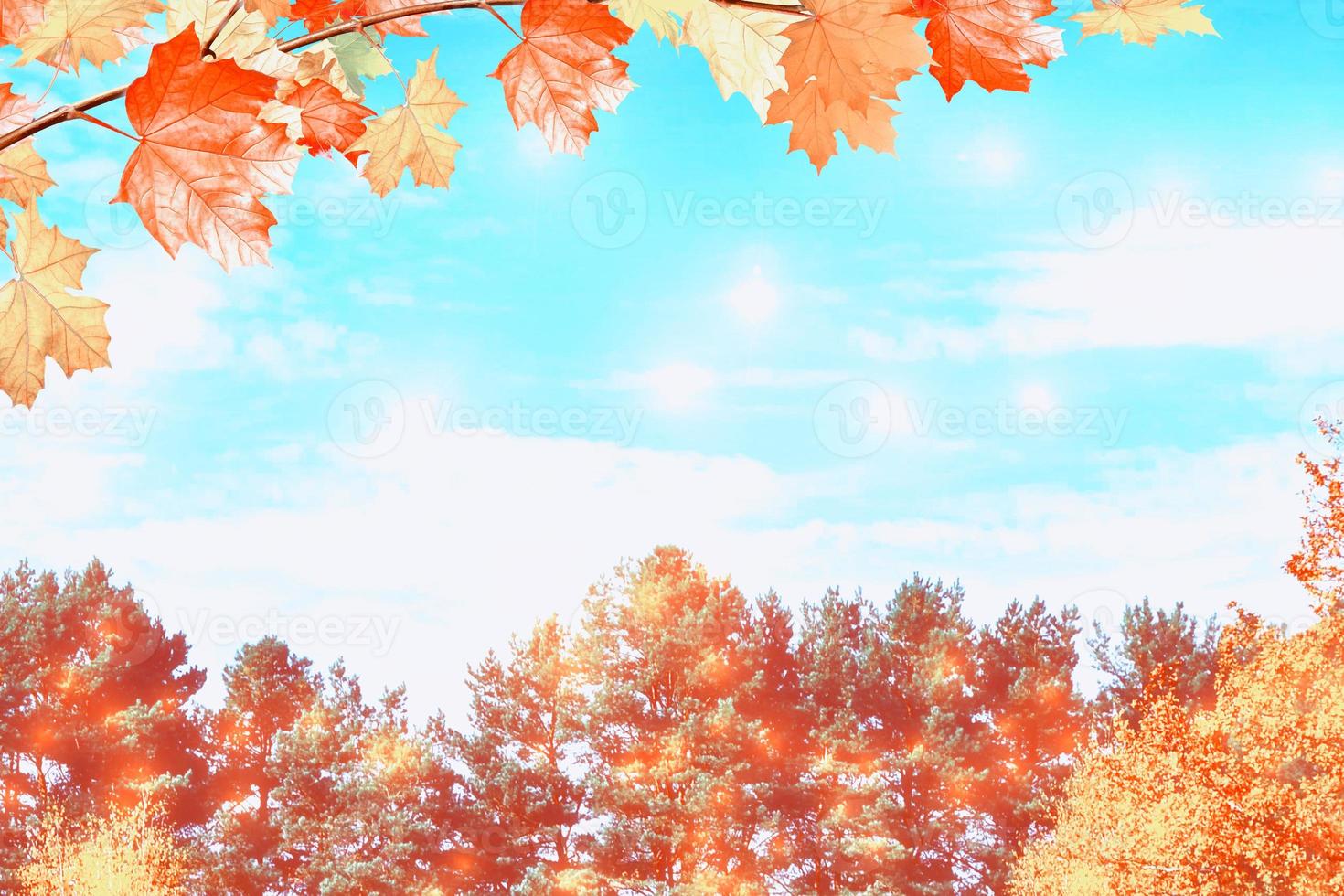 autumn landscape with bright colorful foliage. Indian summer. photo
