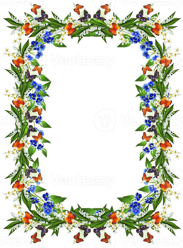branch of flowers and butterflies isolated on a white background photo