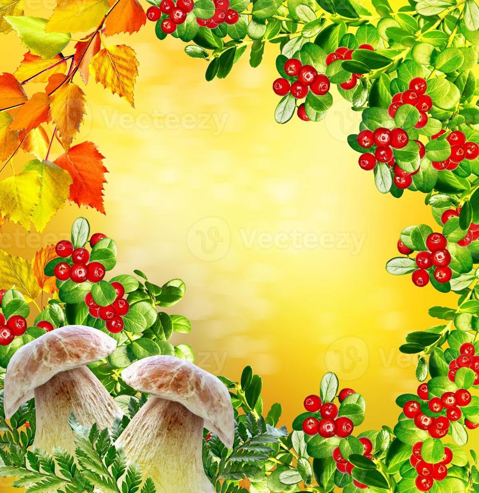 beautiful colorful autumn leaves and mushrooms boletus photo