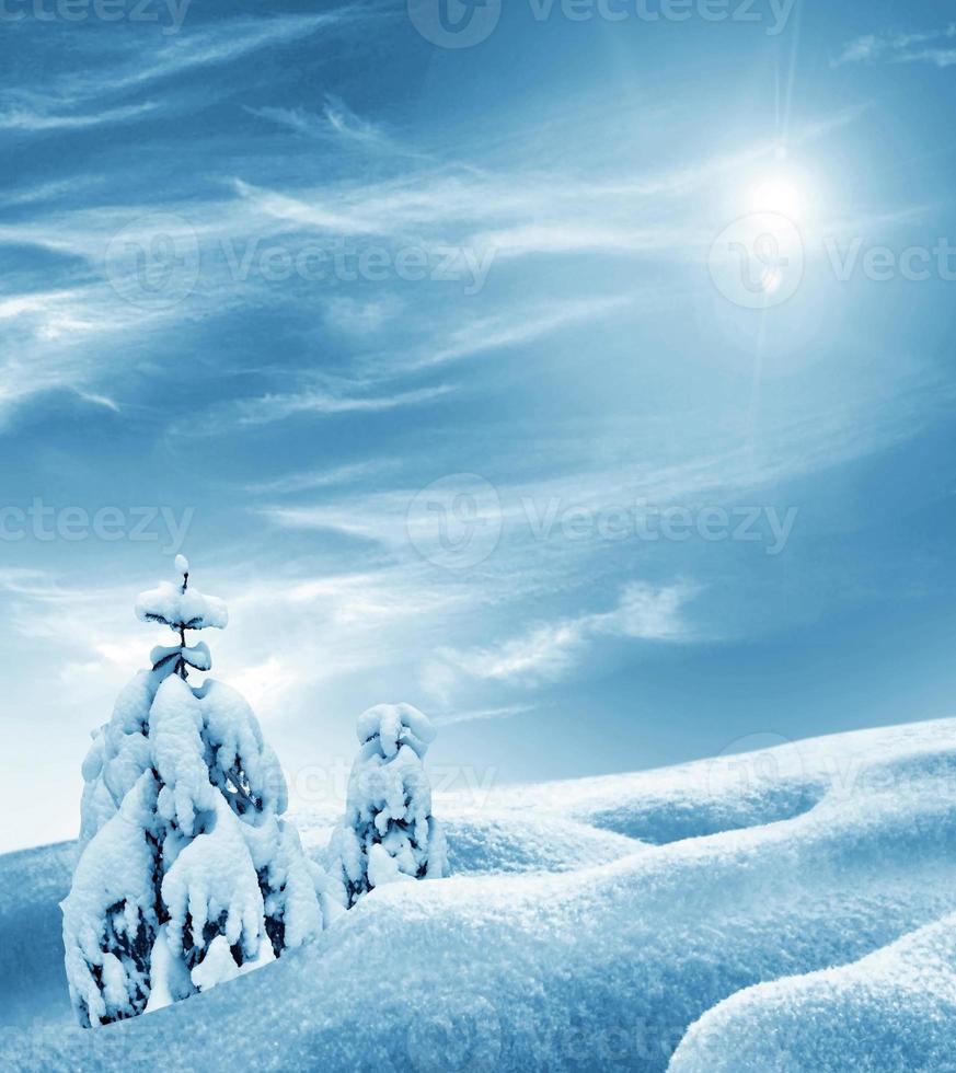 Winter forest. Winter landscape. Snow covered trees photo