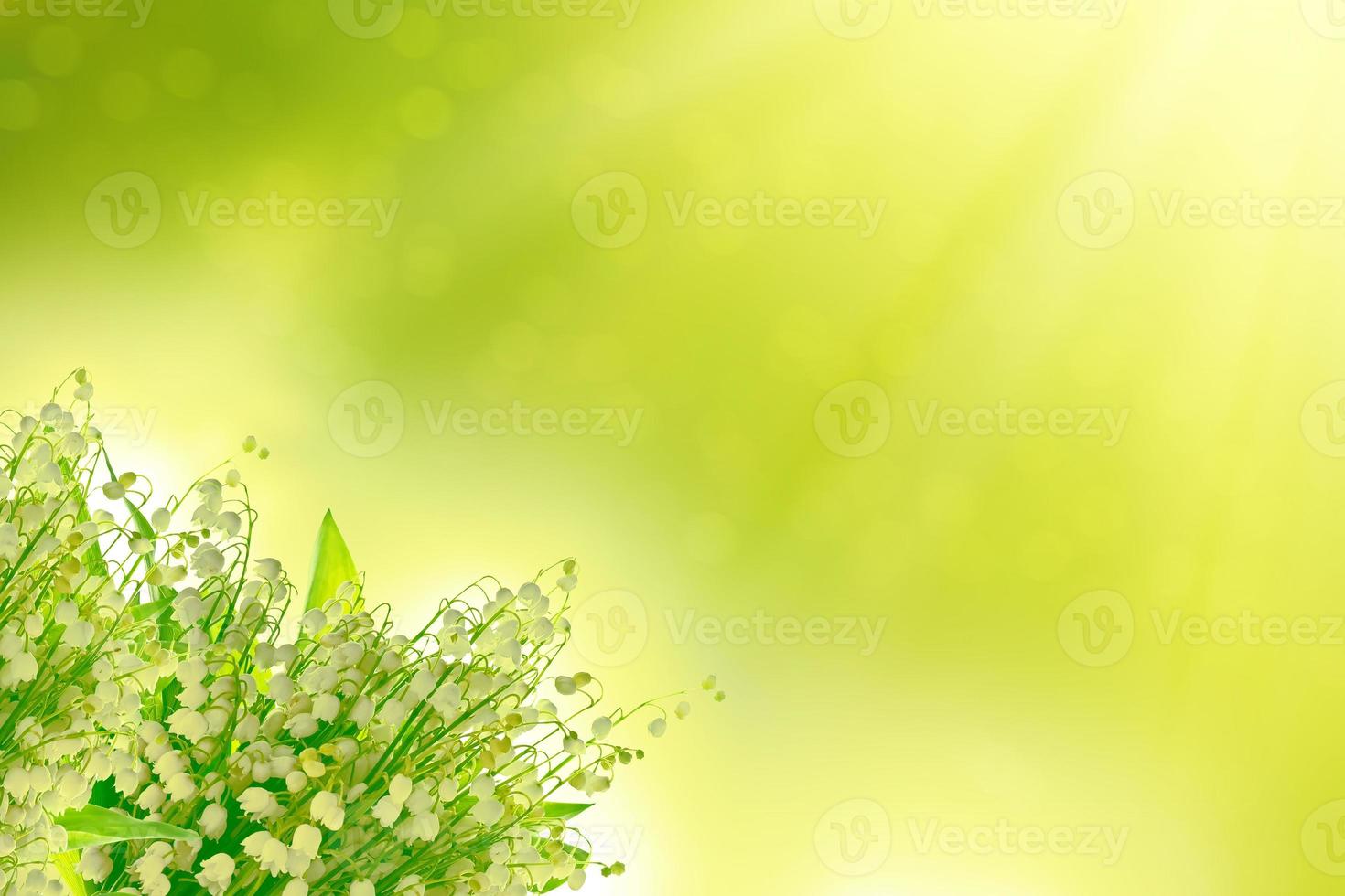 Spring landscape. flowers lily of the valley photo