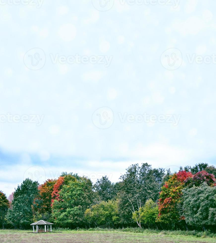 Autumn landscape with colorful bright beautiful trees. photo