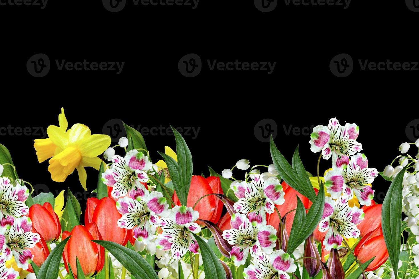 flowers on a black background photo