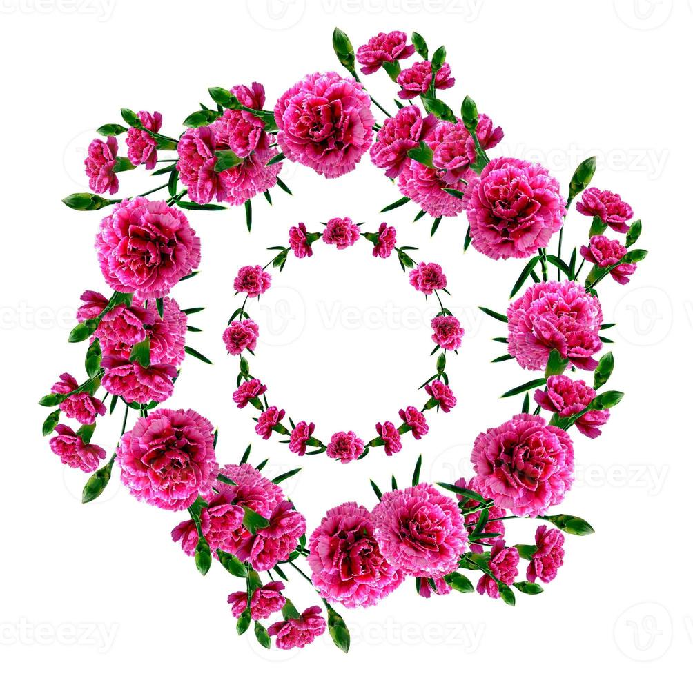 Bouquet of flowers carnation. Flowers isolated on white background. photo