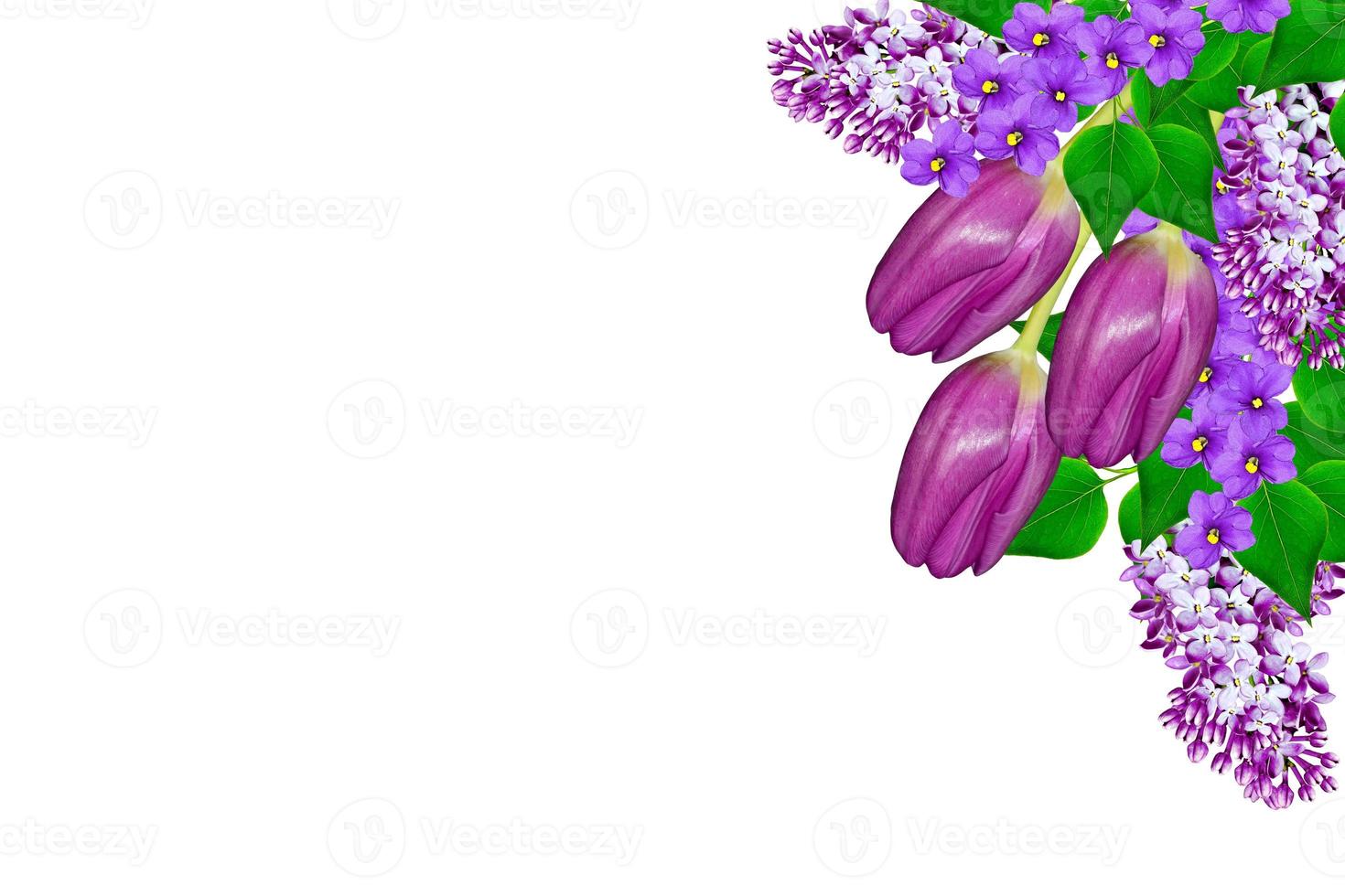 Branch of bright and colorful spring flowers photo
