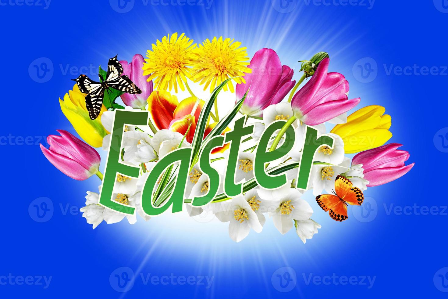 Easter card. Flowers and butterflies. photo