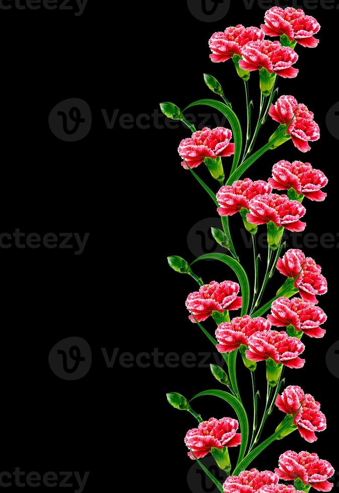 Bouquet of flowers carnation. photo