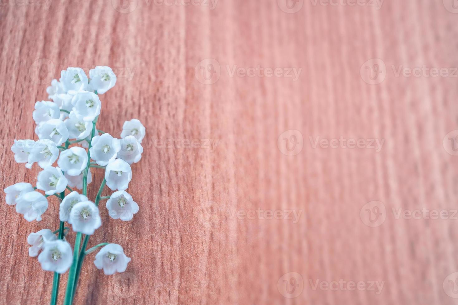 Spring landscape. flowers lily of the valley photo