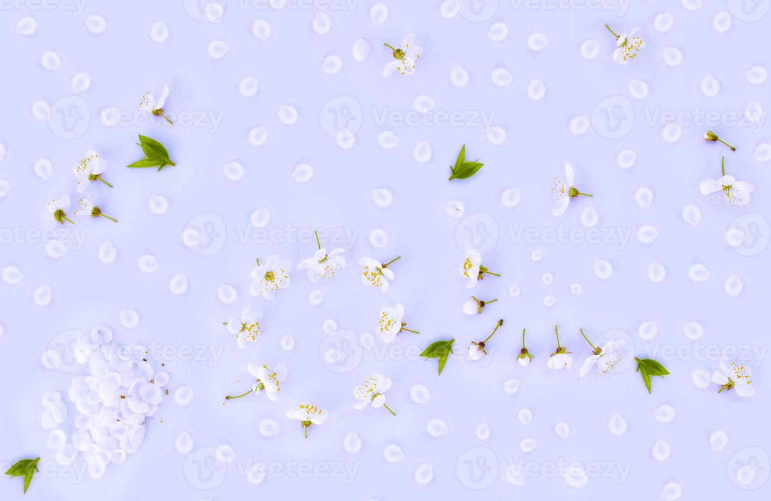 Natural floral background. photo