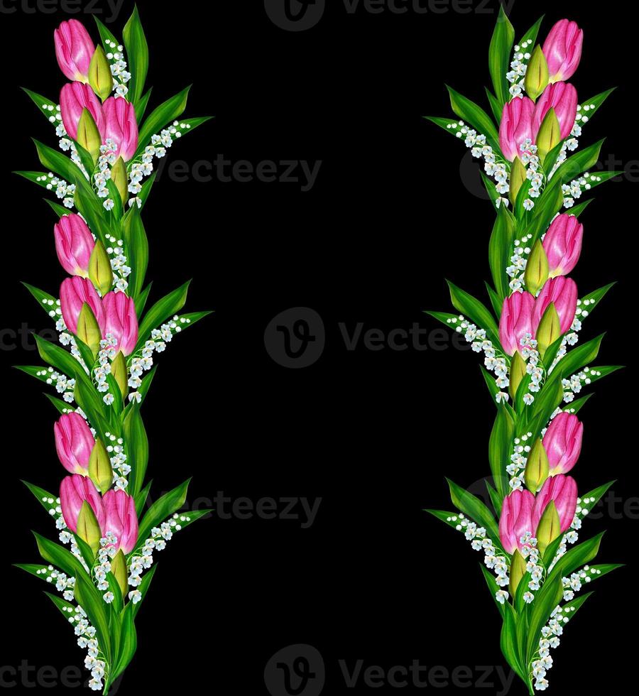 spring flowers tulips isolated on black background. photo