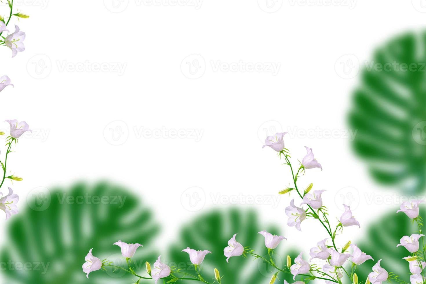 Floral natural background of bright colorful flowers photo