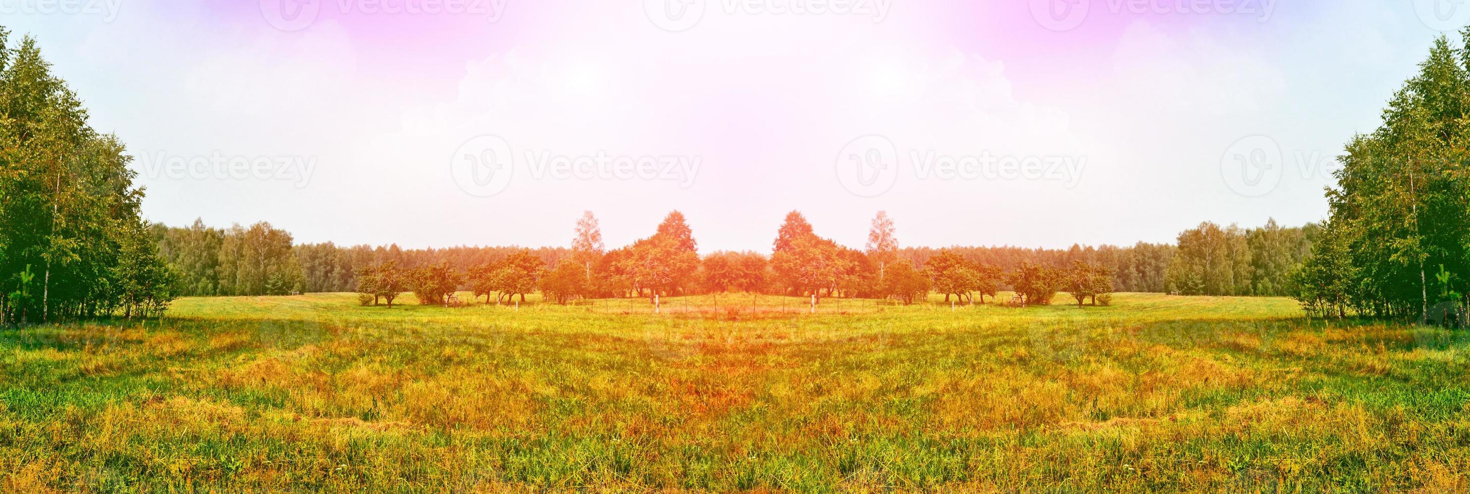 Bright colorful spring landscape. Green birch trees. photo
