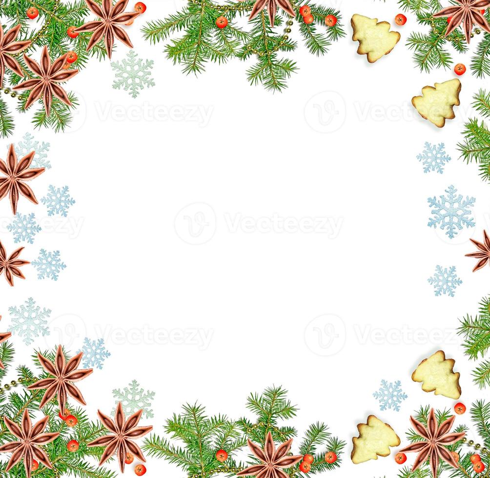 Christmas composition. Green spruce decorated with berries of mountain ash and cookies photo