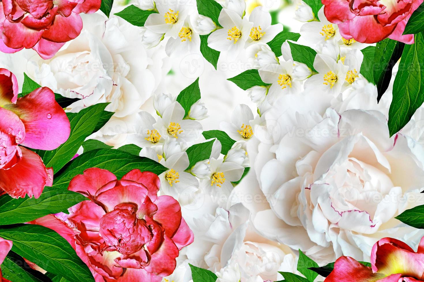 Spring flowers peonies and jasmine photo