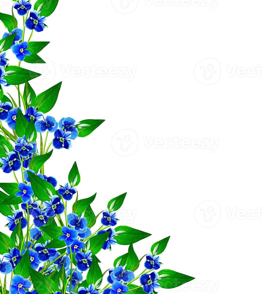 isolated on white background 9851492 Stock Photo at