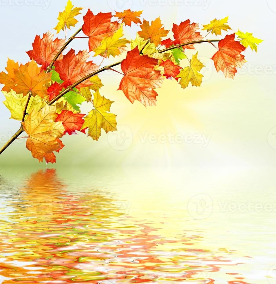 autumn landscape with bright colorful foliage. Indian summer. photo