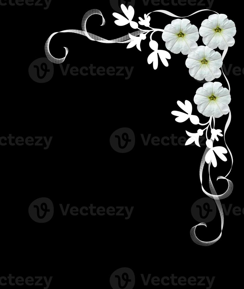 White flowers isolated on a black background. Frame. photo