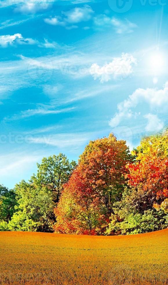 paisaje de otoño naturaleza. foto