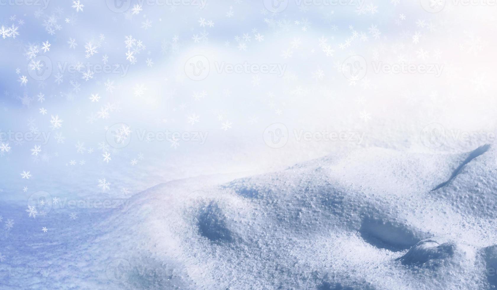 Background. Winter landscape. The texture of the snow photo