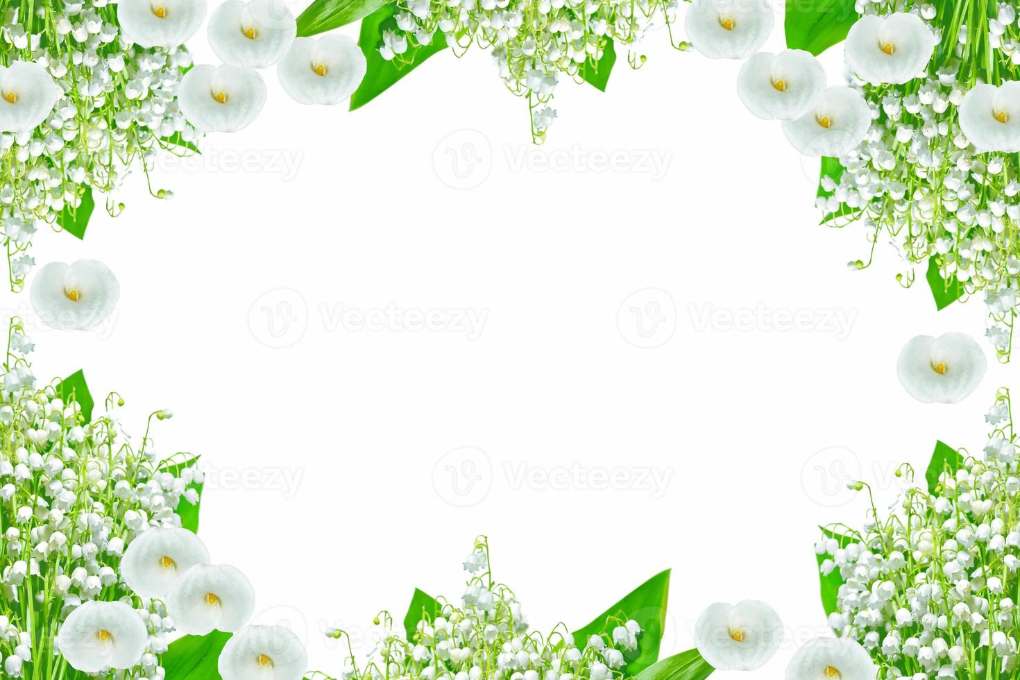 Lily of the valley flower photo