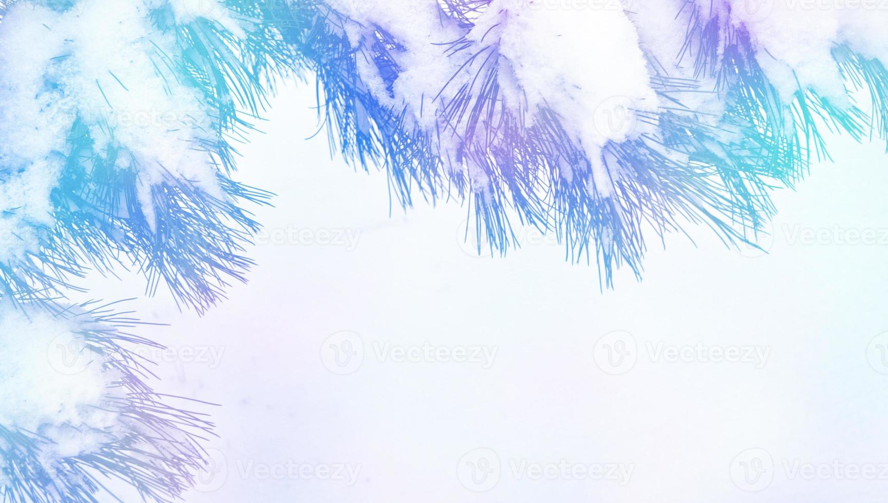 Blurred christmas background. Trees in the snow. Winter Forest photo