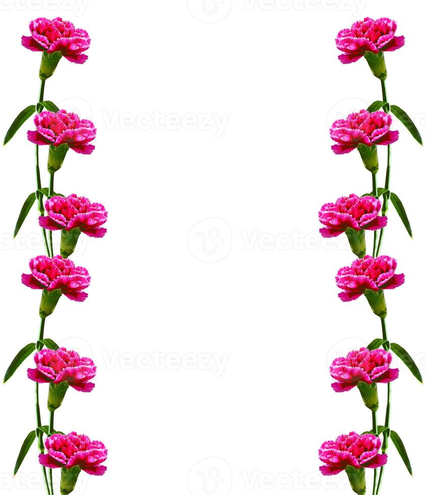 Bouquet of flowers carnation. photo