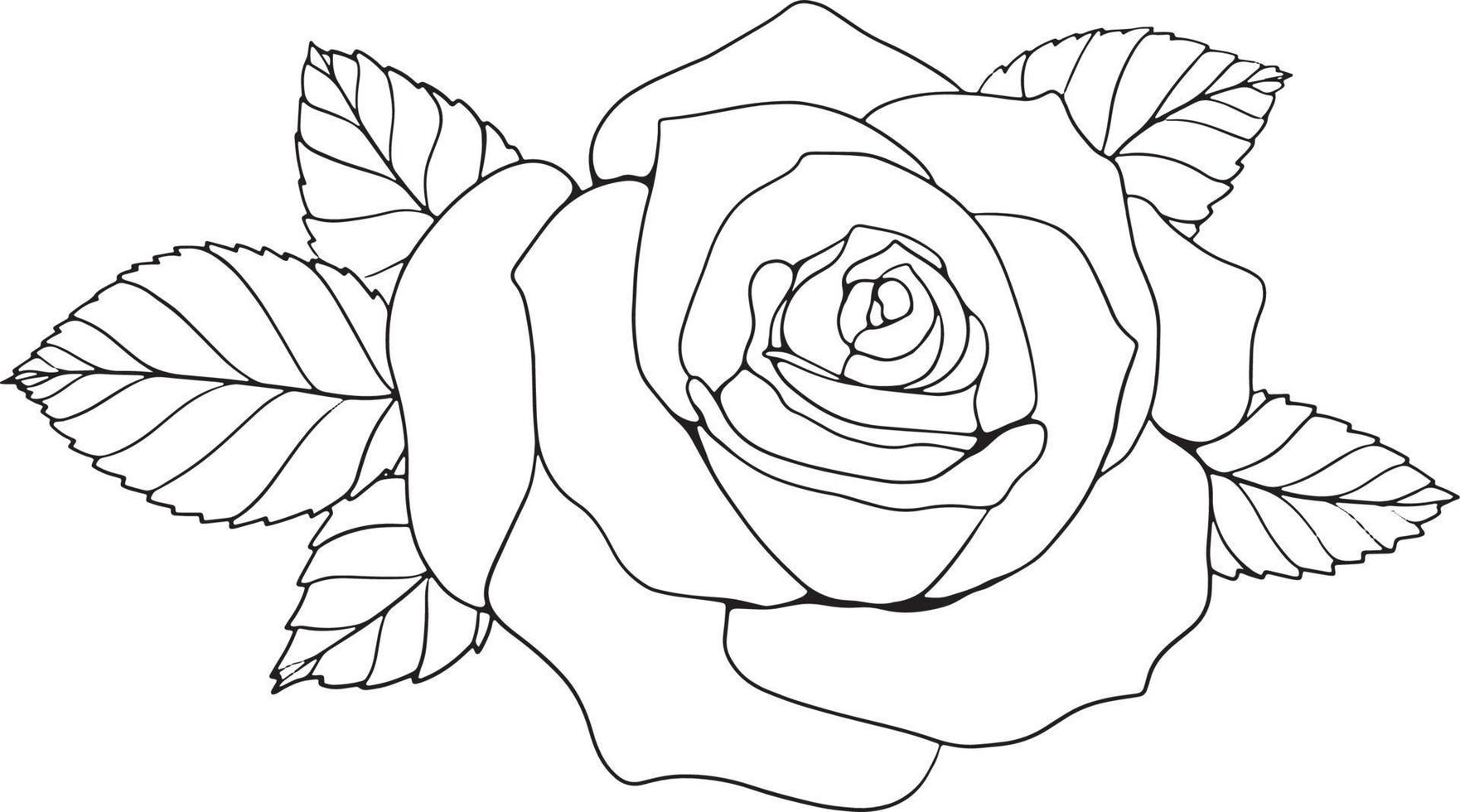 Rose Line Art Floral Line Art Rose Flower Line Art Vector Illustration For Invitation, Cards, Etc.