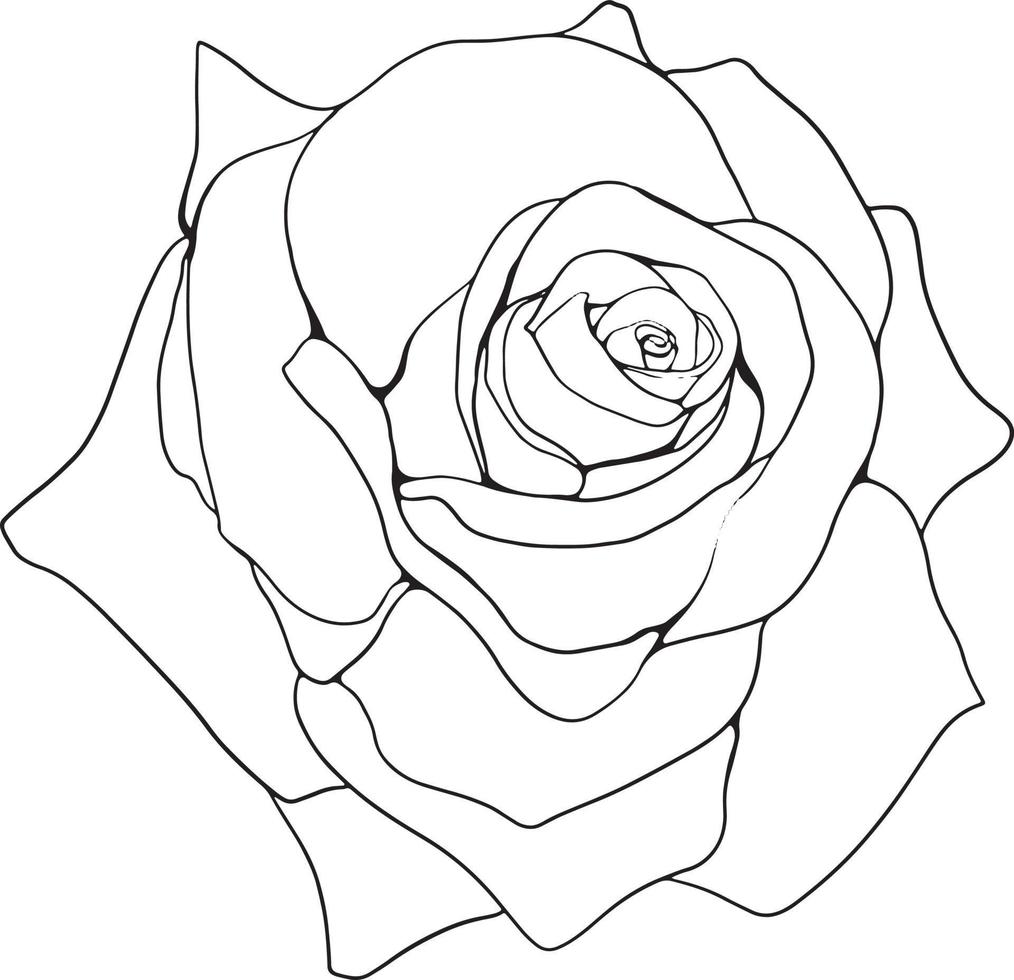 Rose Line Art Floral Line Art Rose Flower Line Art Vector Illustration For Invitation, Cards, Etc.