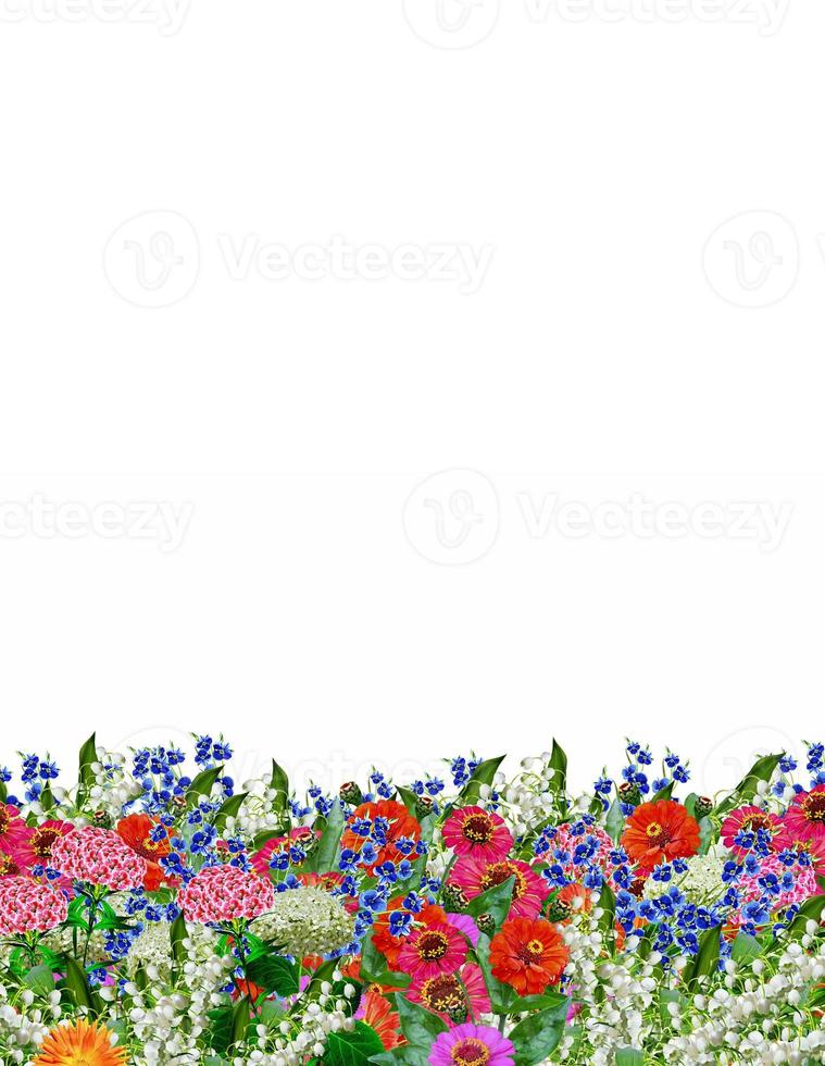 floral background. flowers photo