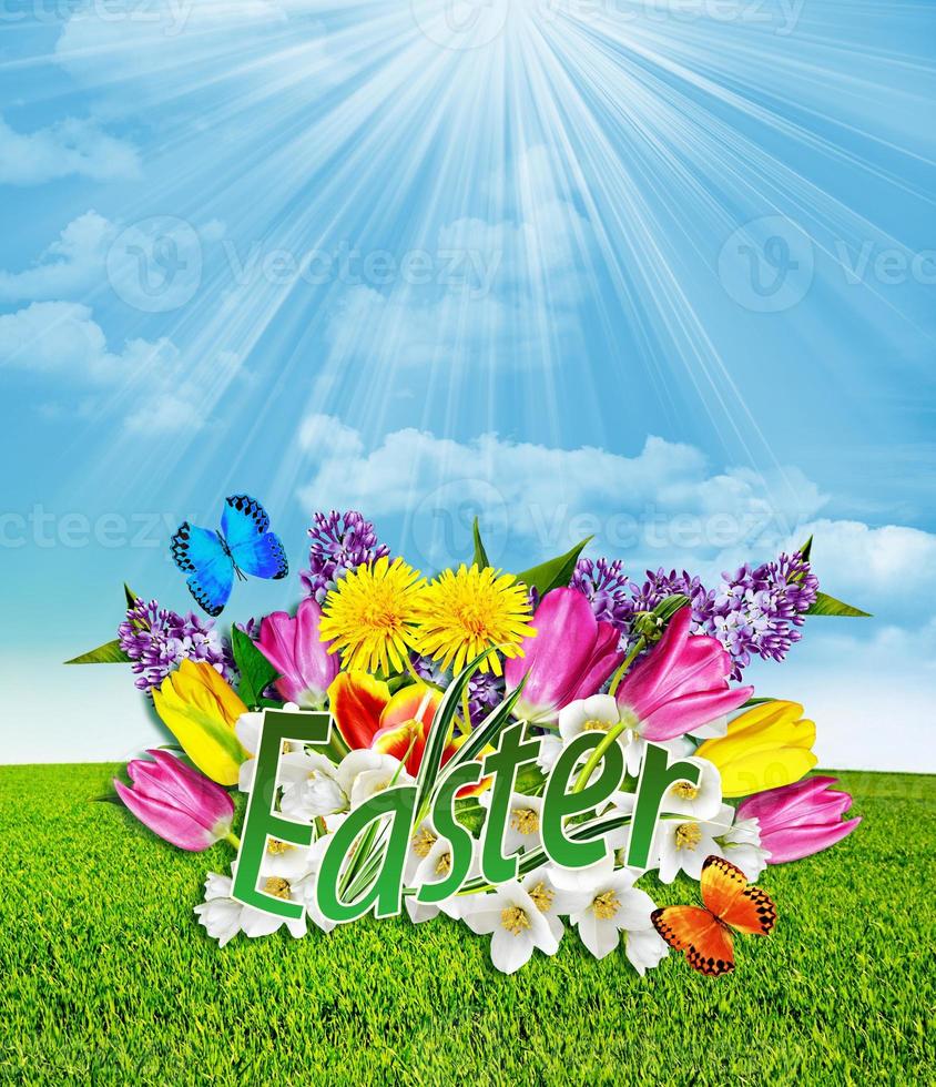 Easter card. Flowers and butterflies. photo