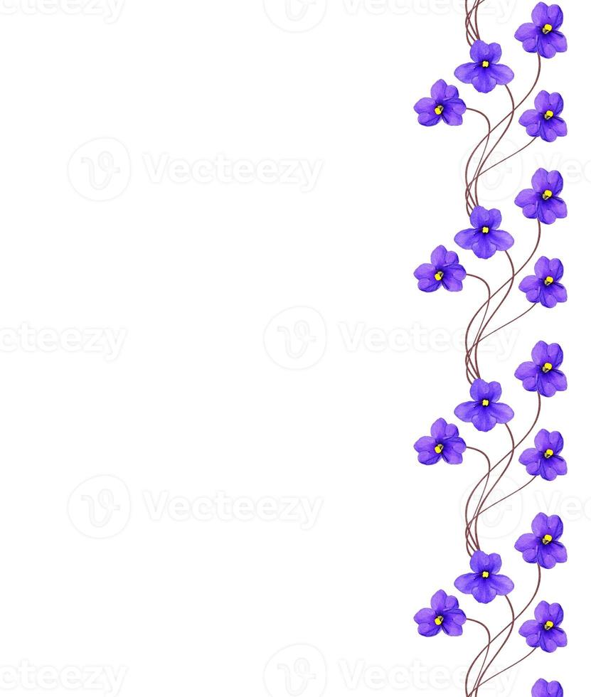 ramo de flores de colores de violetas. foto
