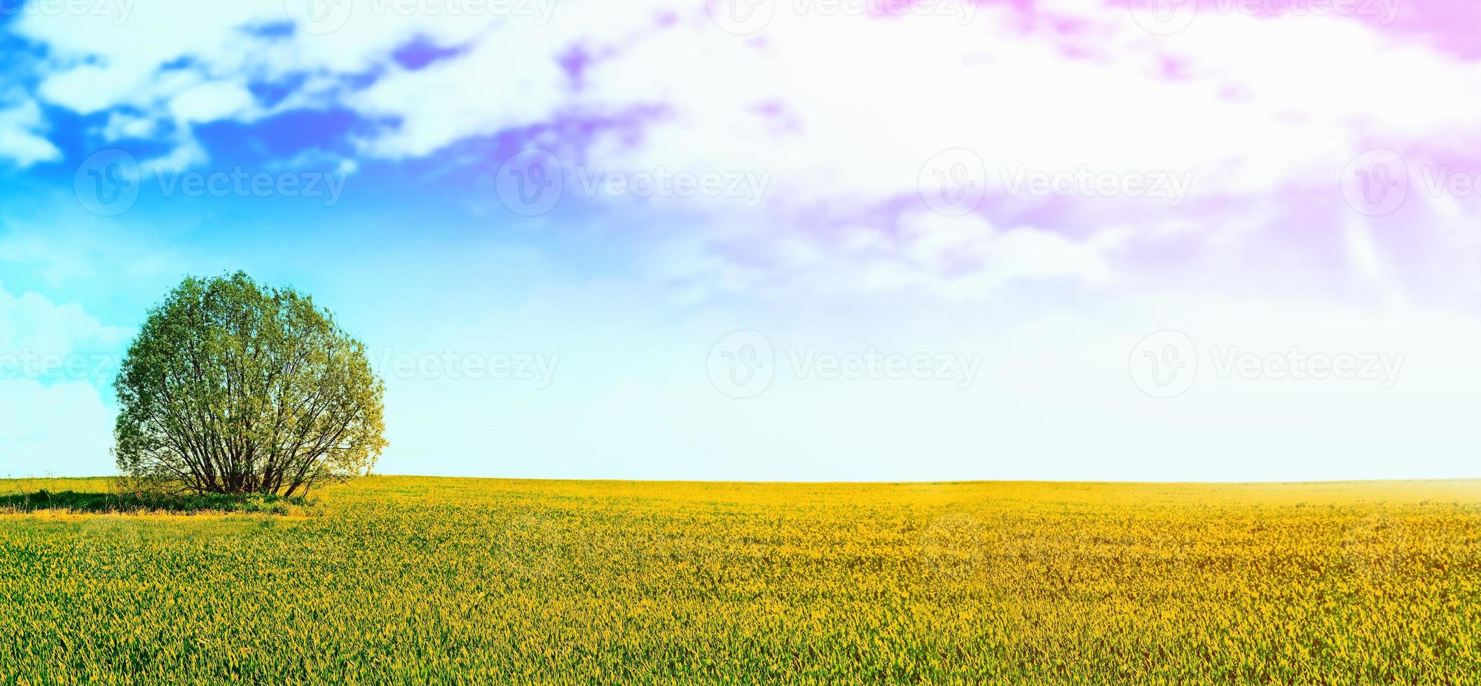 paisaje con árboles de color verde brillante y cielo azul. foto